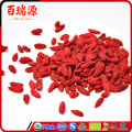 Gesunde Snacks Wunder Beere gefrorene Früchte Wolfberry Ningxia Goji Beere